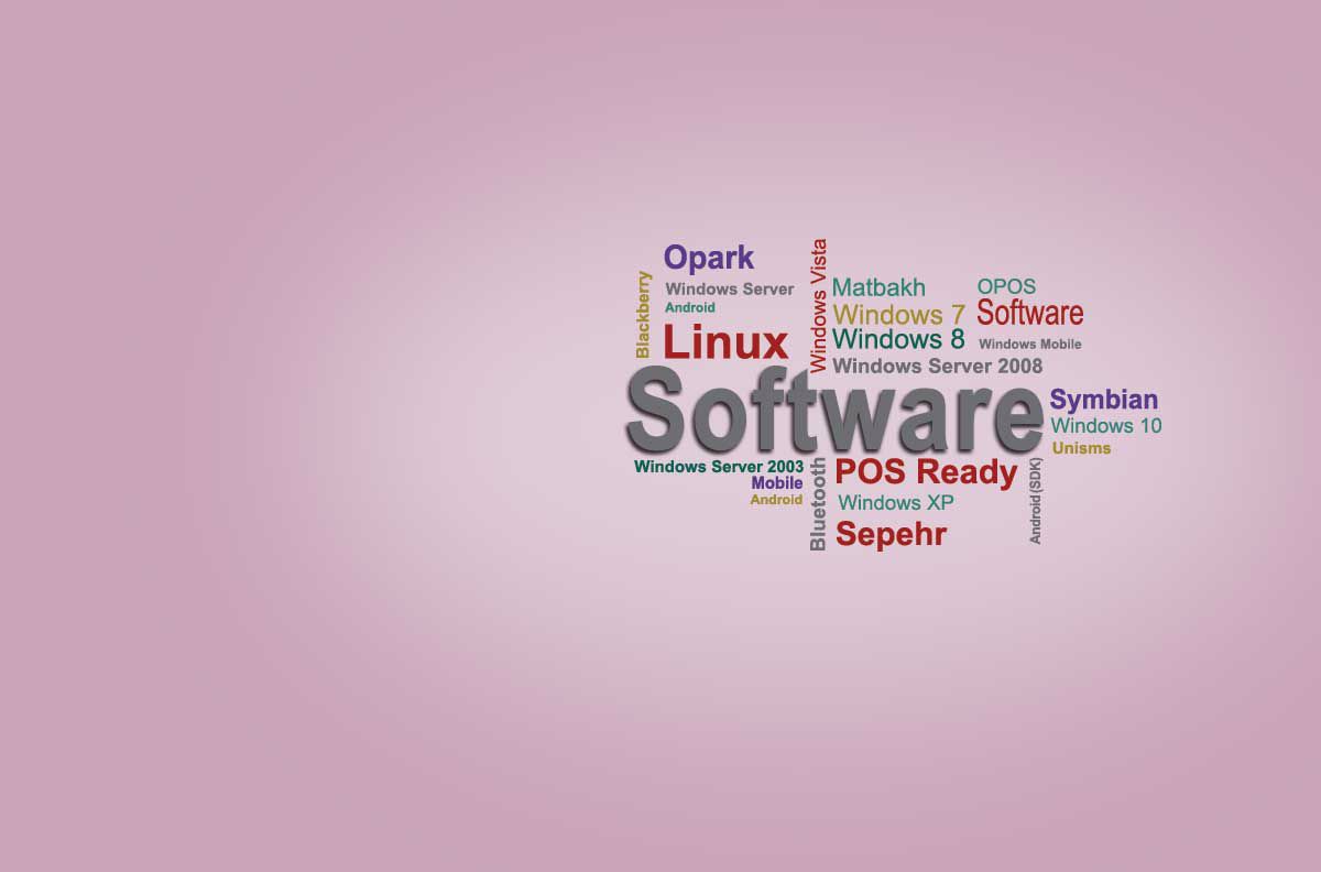 صورة لقسم POS Software